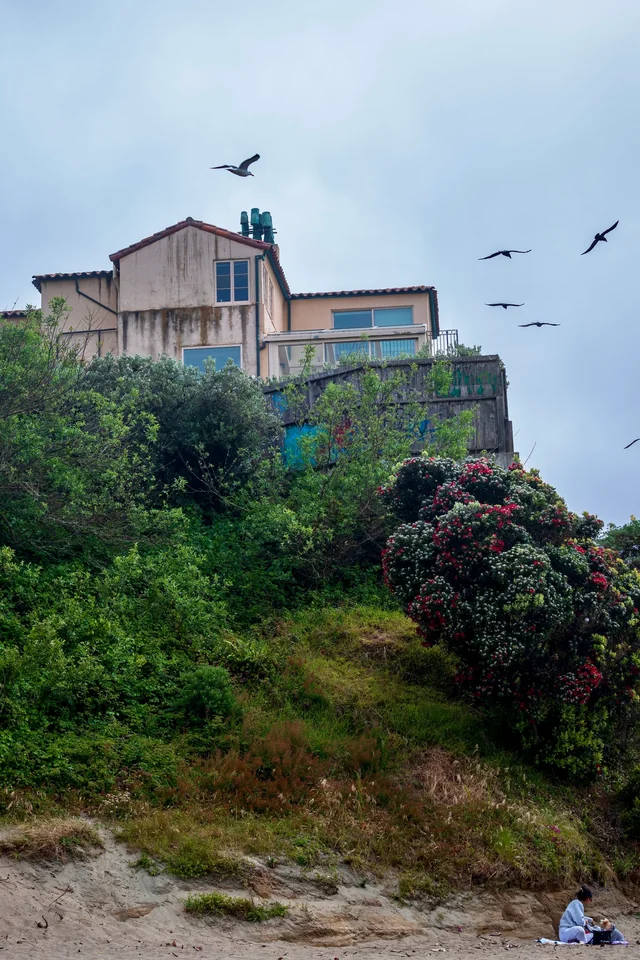 Birds above a house and a green hillside