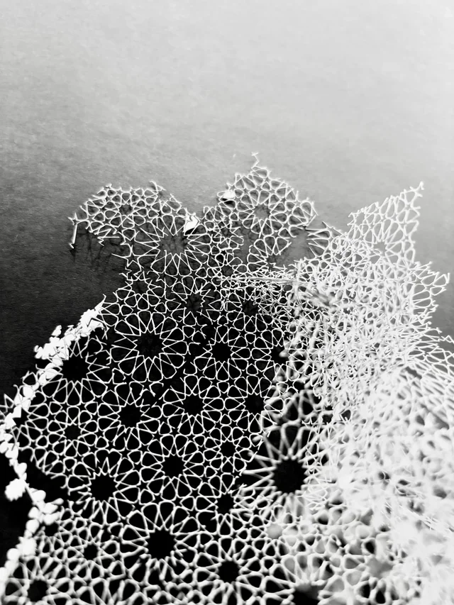 Black and white photograph of delicate rosette patterns fading into soft focus