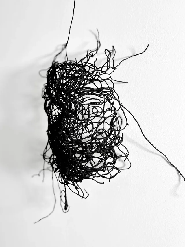 Side view of a suspended black tangled form and its shadow
